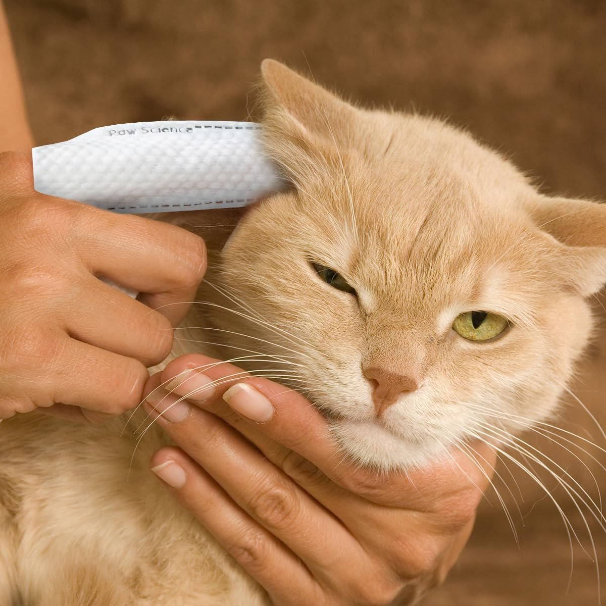 Dog Ear Cleaner Wipes – Finger Wipes for Dogs & Cats – Cleaning, Soothing, & Deodorizing Itchy Ears – Pet Ear Relief Solution (Coconut) - Image 4