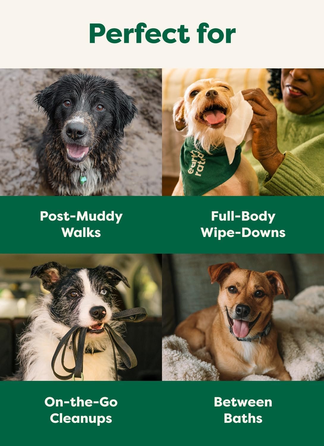 Earth Rated Dog Wipes, Hypoallergenic, 3-in-1 Cleaning and Hydrating, for Grooming Paws, Body and Butt, Lavender Scented, 100 Count - Image 3