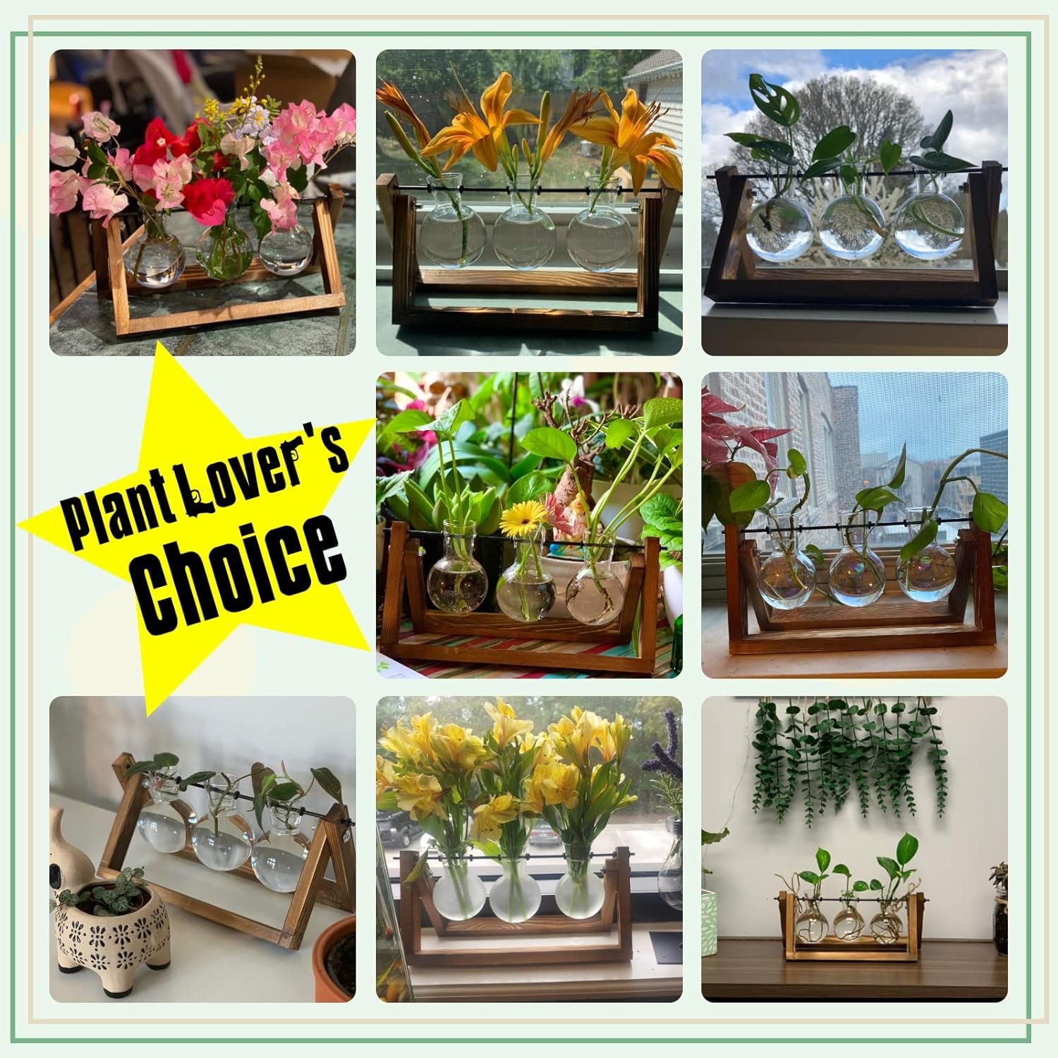 XXXFLOWER Plant Terrarium with Wooden Stand, Air Planter Bulb Glass Vase Metal Swivel Holder Retro Tabletop for Hydroponics Home Garden Office Decoration - 3 Bulb Vase - Image 3