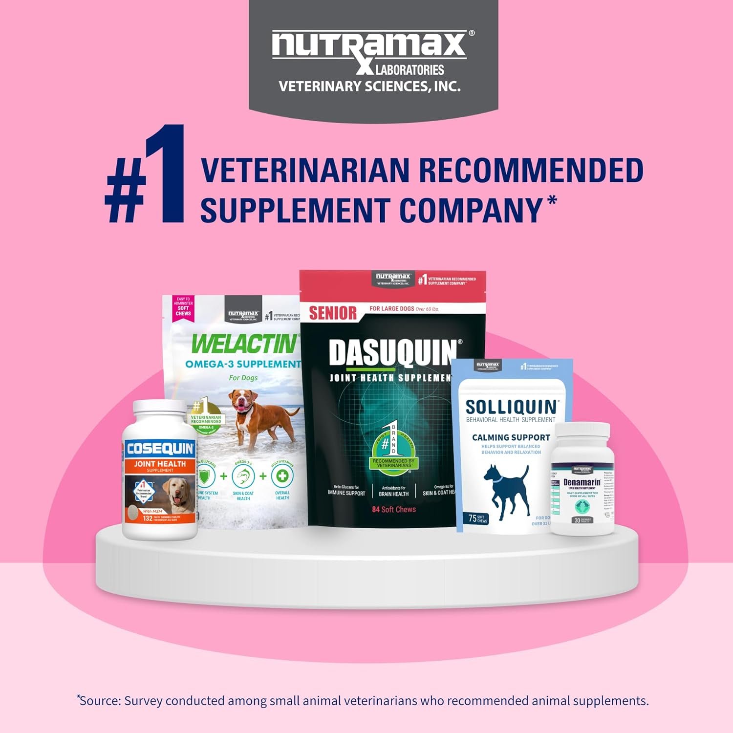 Nutramax Proviable Probiotics for Dogs and Cats, Daily Digestive Health Supplement with Multiple Strains of Bacteria, Cat and Dog Probiotics Plus Prebiotics, 30 Capsules - Image 8