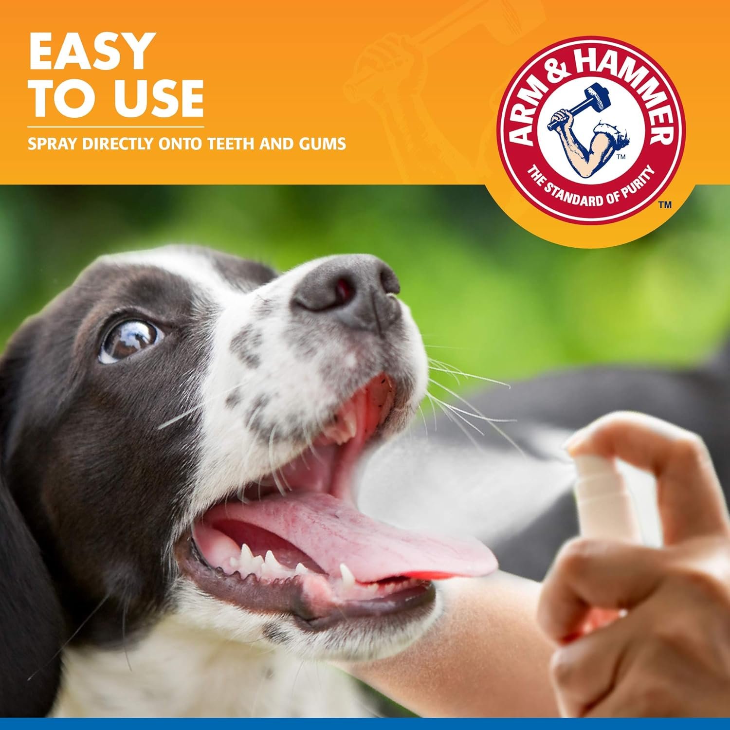 Arm & Hammer for Pets Tartar Control Dental Spray for Dogs, Mint Flavor - Dog Breath Freshener, Dog Plaque and Tartar Remover, Dog Dental Care and Teeth Cleaning, 4 Ounce - Image 3