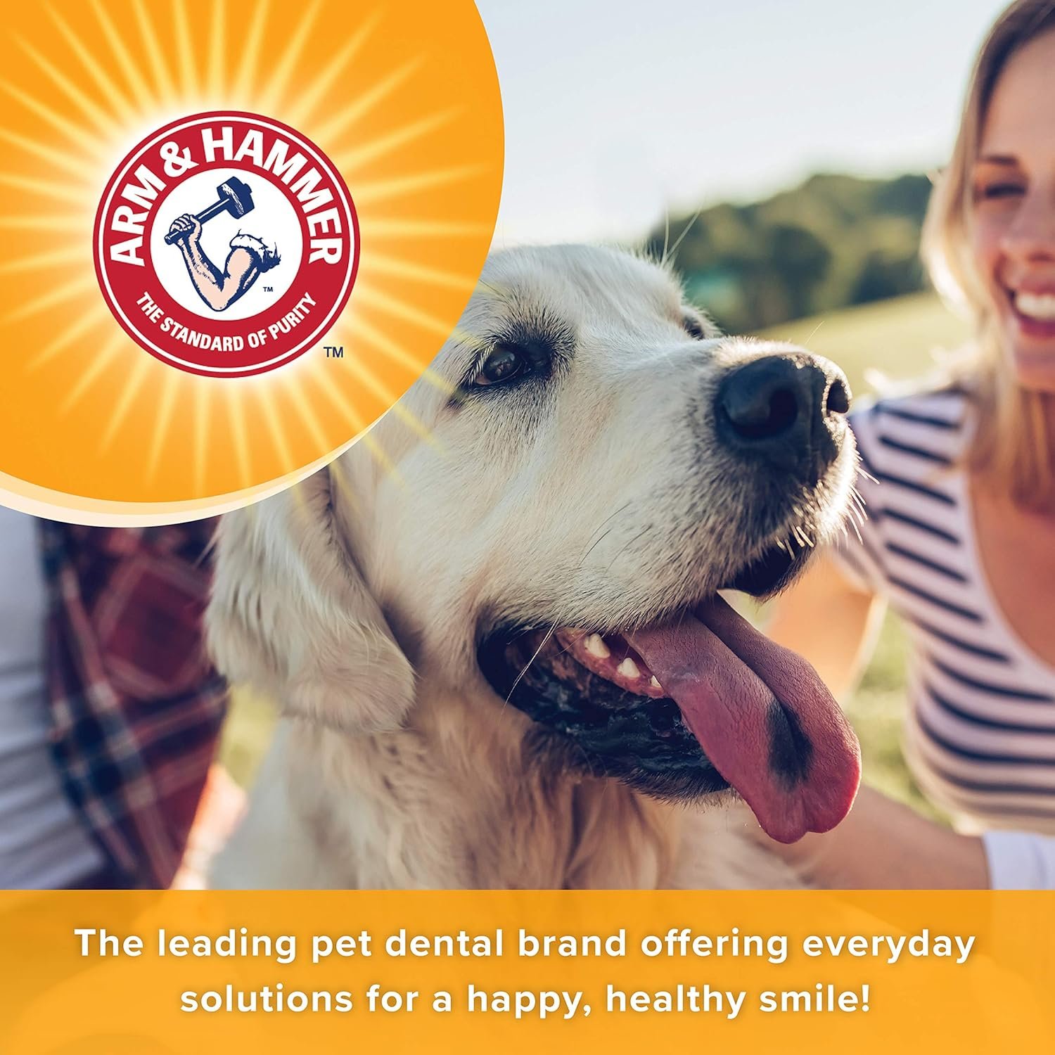 Arm & Hammer for Pets Tartar Control Dental Spray for Dogs, Mint Flavor - Dog Breath Freshener, Dog Plaque and Tartar Remover, Dog Dental Care and Teeth Cleaning, 4 Ounce - Image 4