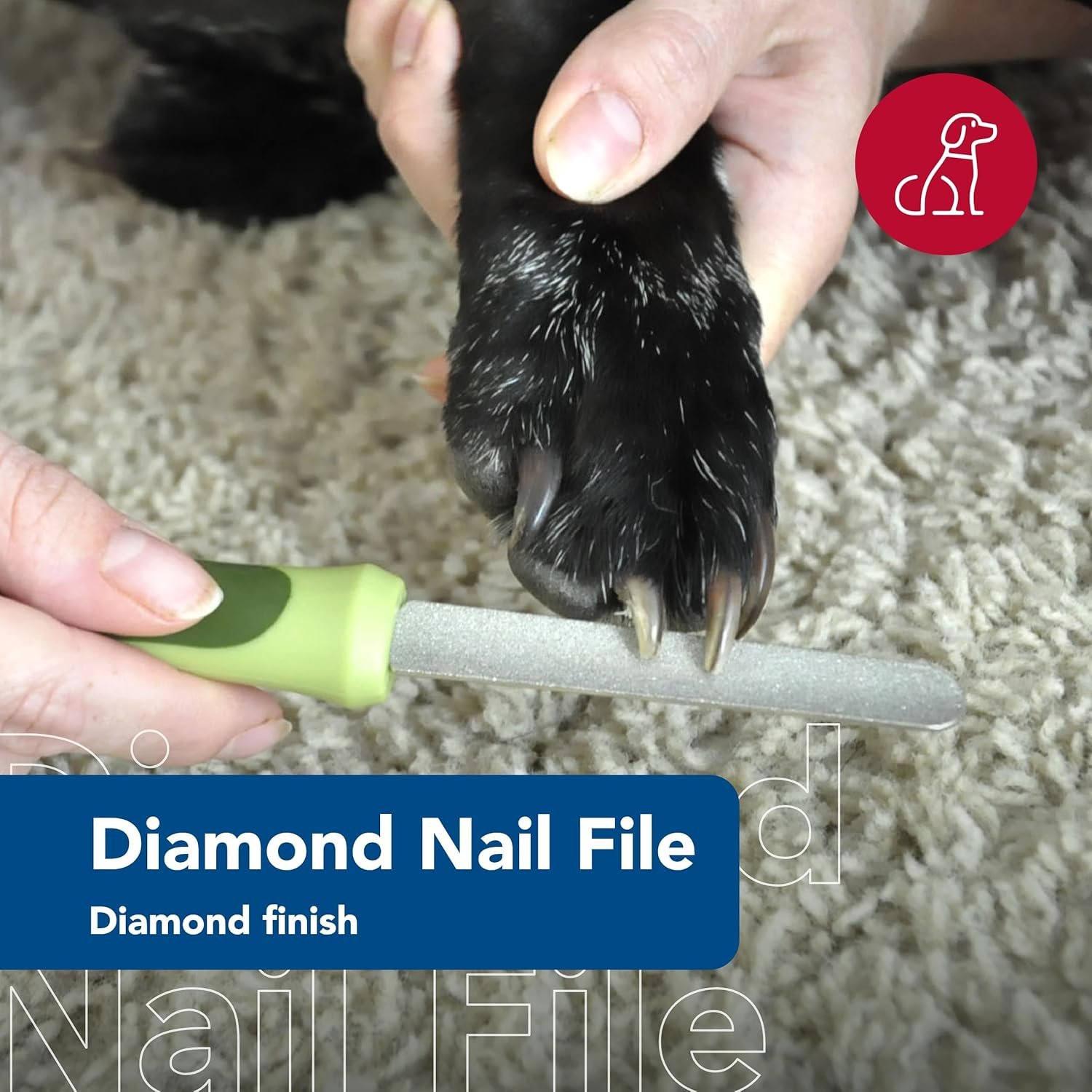 Coastal Pet Safari Dog Diamond Nail File - Diamond Finish for Smooth Nails - Removes Burs from Outdoor & Indoor Dogs - One Size - Image 3