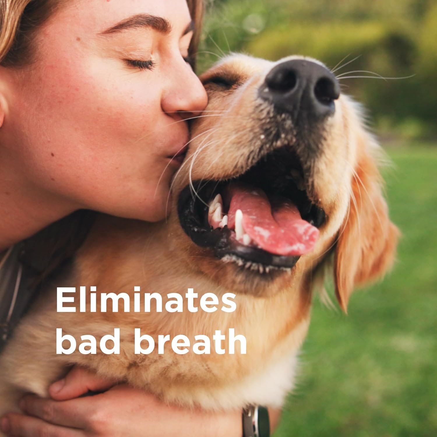 Wondercide Rescue - Oral Spray for Dogs and Cats – Freshens Breath, Soothes Gums, Alcohol Free Daily Dental Care with Pure Hypochlorous – 8.5 oz - Image 4