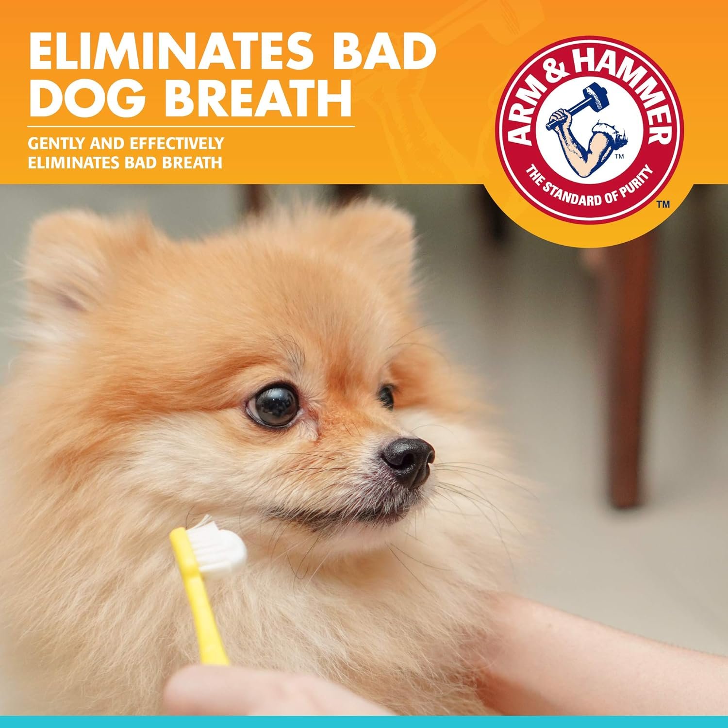 Arm & Hammer for Pets Fresh Breath Enzymatic Dog Toothpaste, Vanilla Ginger Flavor, Safe for Puppies and Adult Dogs, Daily Baking Soda Dental Gel to Eliminate Bad Breath, 2.5 Oz - Image 3