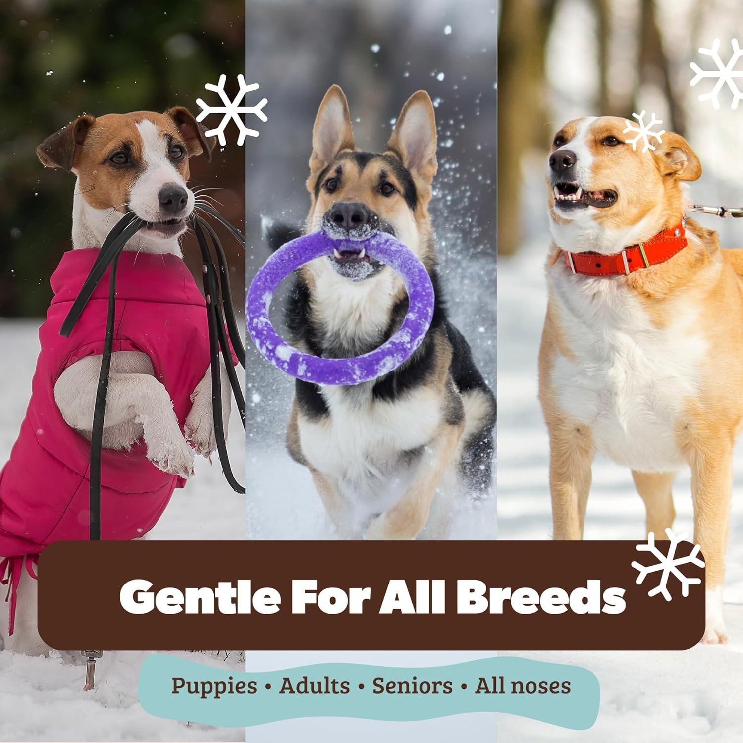 Natural Dog Company Snout Soother Balm – Dog Nose Balm for Dry Cracked Snouts, Moisturizing Winter Nose Care with Coconut Oil & Shea Butter, Lick Safe Dog Snout Balm for All Breeds, 0.15 oz Stick - Image 5