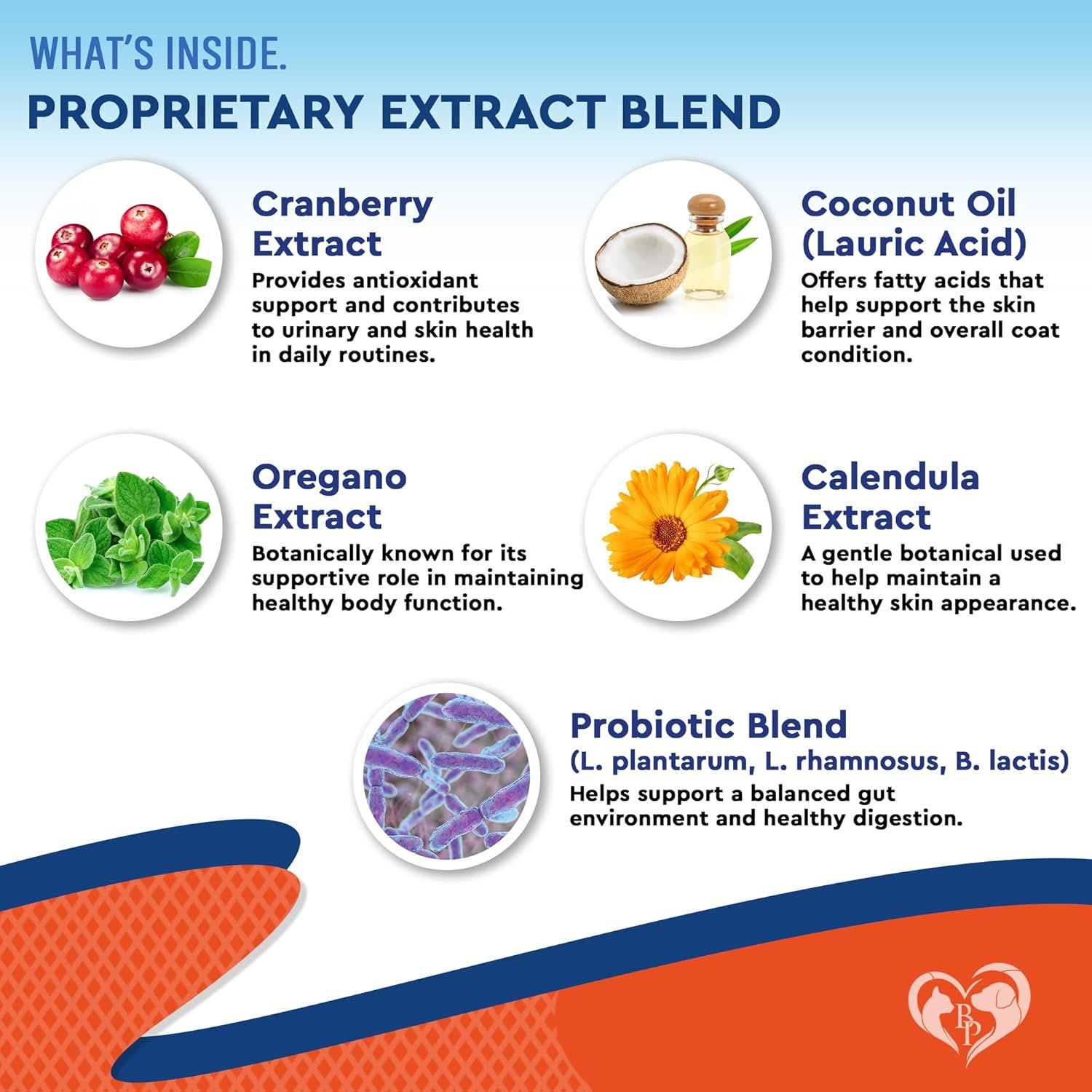 Natural Cats & Dogs Yeast Infection Anti Itch Treatment - Itchy Ears, Skin & Allergy Symptoms Relief - Reduces Inflammation & Relieves Irritation - Herbal Medicine Supplement Drops - Image 3