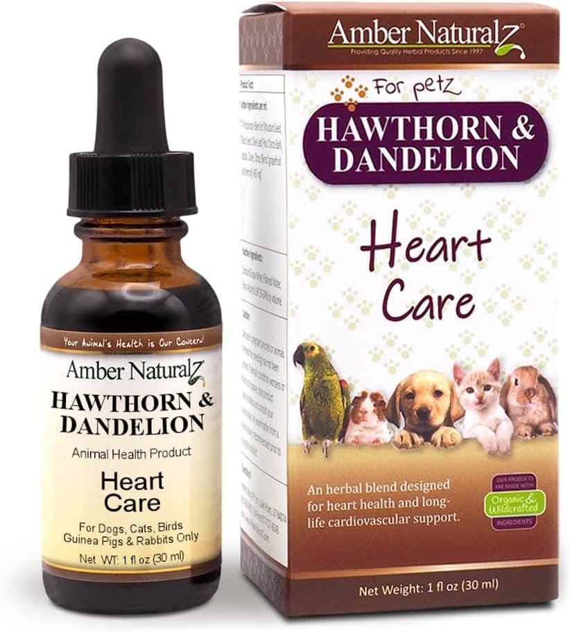 Amber NaturalZ Hawthorn & Dandelion Herbal Supplement for Dogs, Cats, Birds, Rabbits, and Guinea Pigs | Supports Heart Health, Circulation, and Fluid Balance | Natural Cardiovascular Care 1 FL Oz