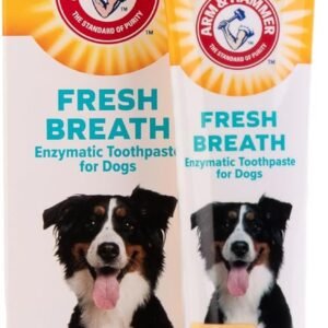 Arm & Hammer for Pets Fresh Breath Enzymatic Dog Toothpaste, Vanilla Ginger Flavor, Safe for Puppies and Adult Dogs, Daily Baking Soda Dental Gel to Eliminate Bad Breath, 2.5 Oz