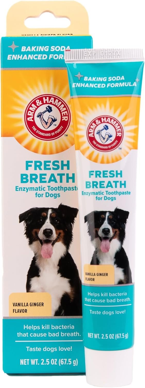 Arm & Hammer for Pets Fresh Breath Enzymatic Dog Toothpaste, Vanilla Ginger Flavor, Safe for Puppies and Adult Dogs, Daily Baking Soda Dental Gel to Eliminate Bad Breath, 2.5 Oz