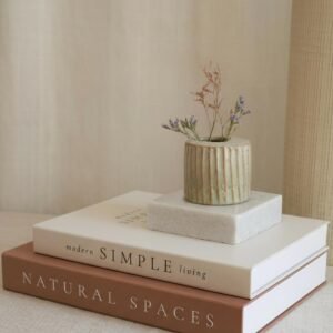 Beautiful Decorative Books - Set of 2 Boxes Enhance Your Coffee Table, Bookshelf or Mantel Shelf Decor - Aesthetic Fake/Faux Books for Modern Home Decoration, Photo Storage and as a Keepsake Box