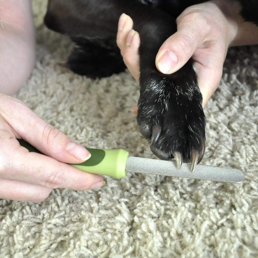 Coastal Pet Safari Dog Diamond Nail File - Diamond Finish for Smooth Nails - Removes Burs from Outdoor & Indoor Dogs - One Size - Image 2