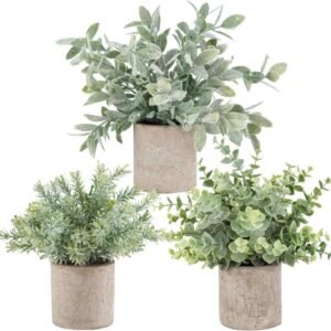 Der Rose 3 Pack Mini Potted Fake Plants Artificial Plastic Eucalyptus Plants Topiaries for Home Office Desk Farmhouse Shelf Room Bathroom Decor(Sage Green)
