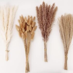 Dried Pampas Grass Decor, 100 Stems Pampas Grass Contains Bunny Tails Dried Flowers, Reed Grass Bouquet for Wedding Boho Flowers Home Table Decor, Rustic Farmhouse Party (17", White and Brown)