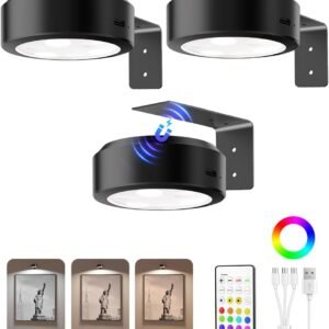 EZVALO Picture Lights for Wall, 2000mAh Rechargeable Battery Magnetic Poster Lights with 3 Color Temps & 12 RGB, Remote Dimmable Timer Painting Light, Wall Decor Light for Art Display, Frame (3 Pack)