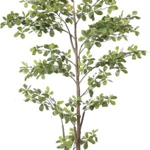 Faux Black Olive Tree 7ft, Artificial Shady Lady Tree with Natural Trunk and Realistic Leaves, 7 Feet Faux Olive Plants for Home Office Indoor Decor Pack of 1