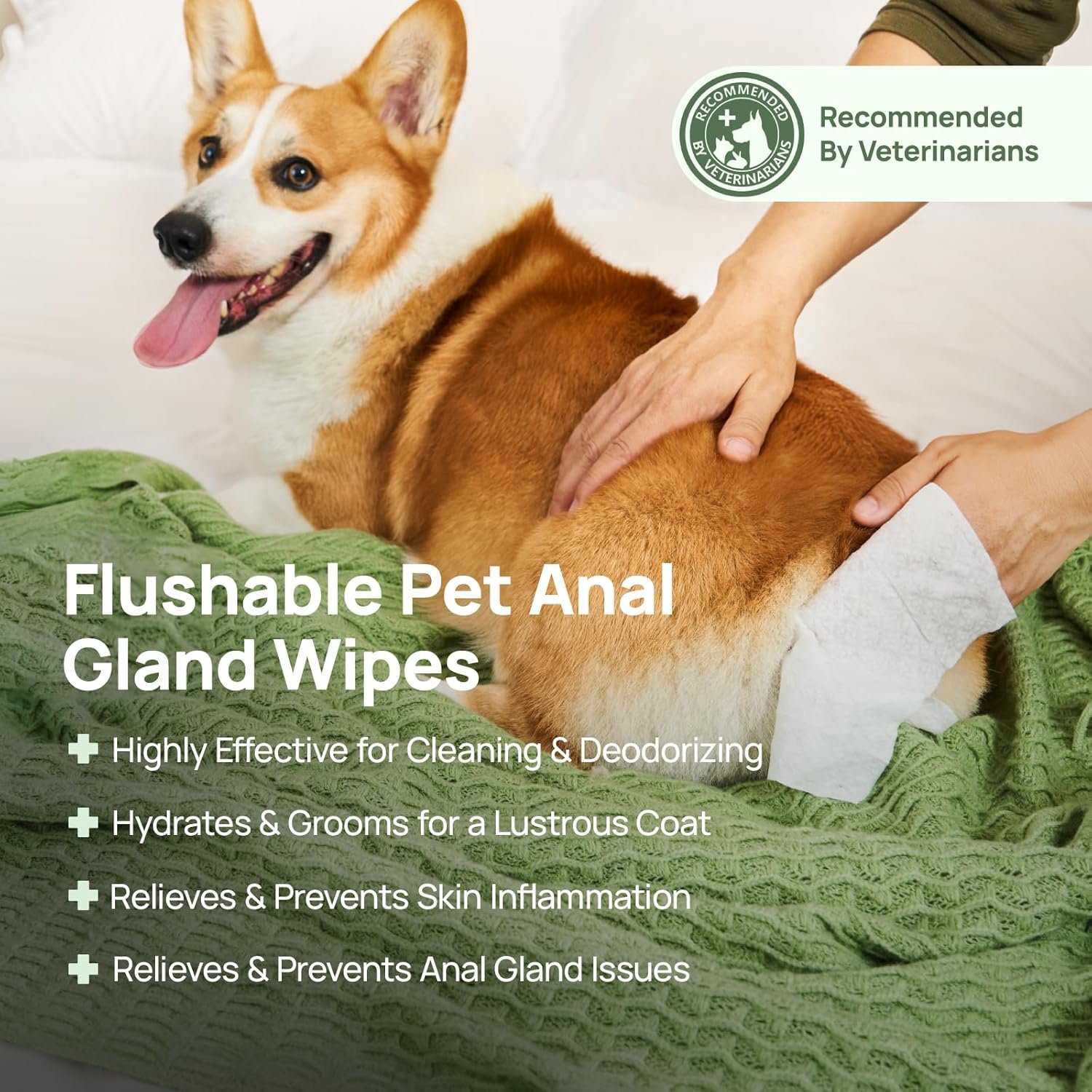 HICC PET Wipes for Dogs & Cats, Cleansing Deodorizing & Soothing Allergy Infections Anal Gland Pets Wipes with Coconut Oil - Dog Grooming Wipes for Butt and Paw - Hypoallergenic & Vet Recommended - Image 2