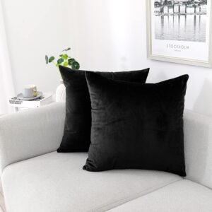 NiNi ALL Decorative Throw Pillow Covers Pack of 2, Velvet Throw Pillow Cases for Couch Pillows Cover Bedroom Living Room Outdoor, Pillow Covers 18x18 Inch Black
