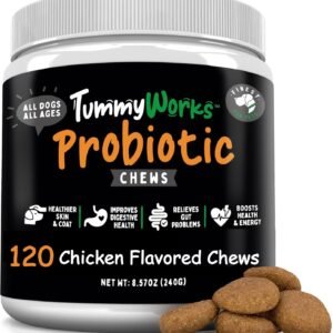 TummyWorks Probiotics for Dogs. 120 Probiotic Soft Chews for Digestive Health, Gut, Immunity, Energy, Allergies, Skin & Coat. 10 Strains, 5 Billion CFUs with 6 Enzymes. Made in USA