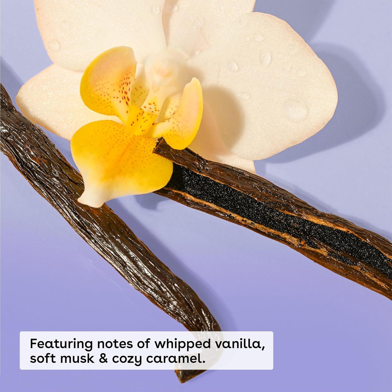 eos Cashmere Oil, Vanilla, 24 Hour Moisture, Plant-Based Squalane to Soothe, Soften and Smooth Dry Skin, 6 fl oz - Image 2