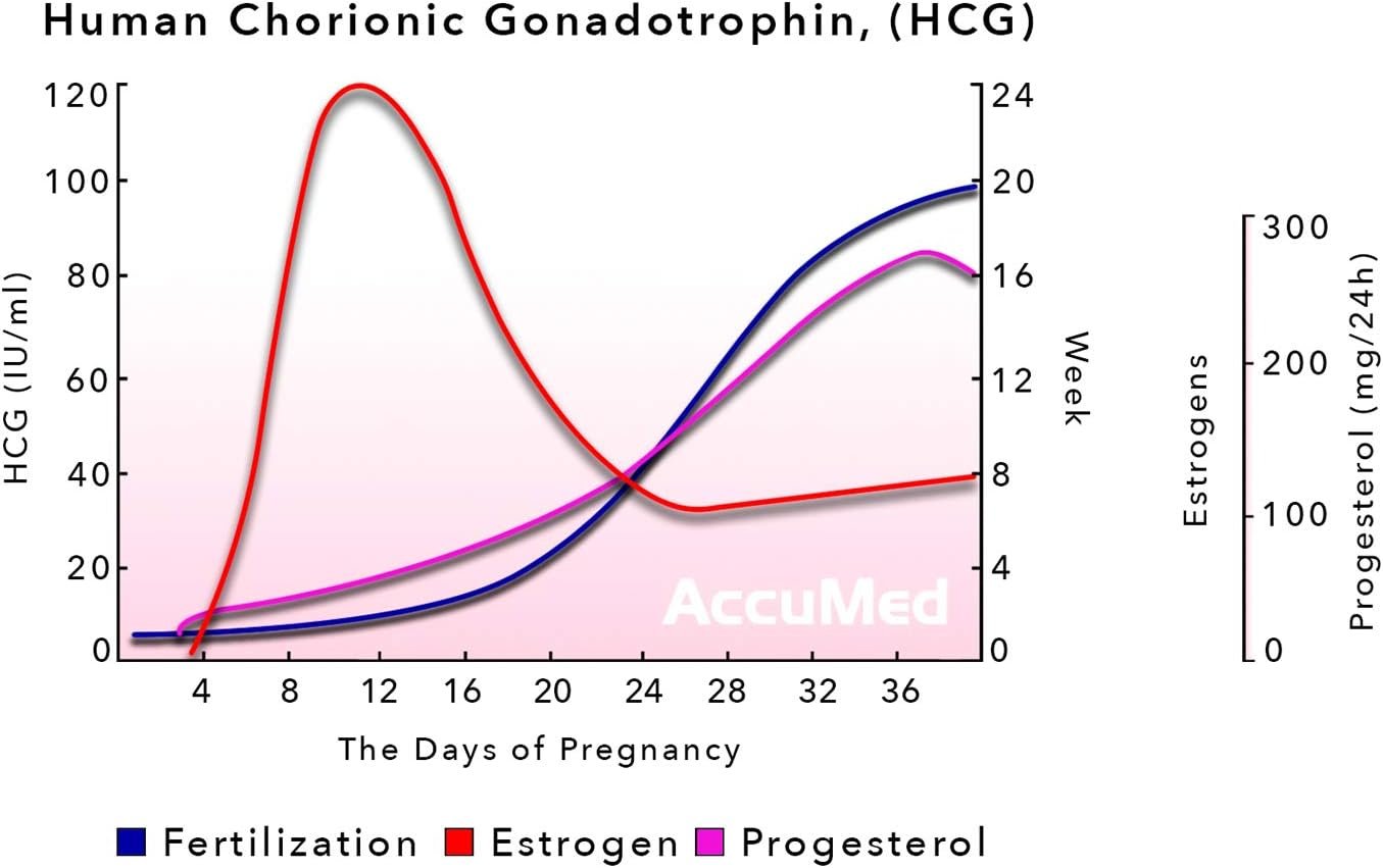 AccuMed Pregnancy Test Strips, 25-Count Individually Wrapped Pregnancy Strips, Early Home Detection Pregnancy Test Kit, Clear HCG Test - Image 6