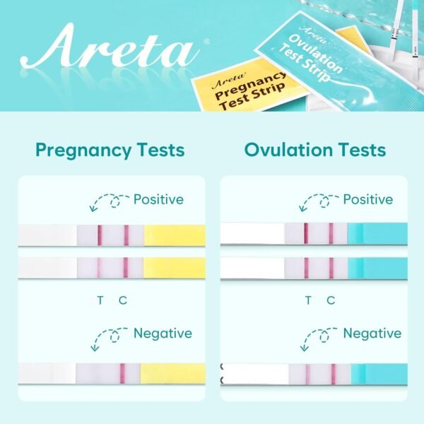 Areta Ovulation & Pregnancy Test Strips: 20 Ovulation Strips & 10 ...
