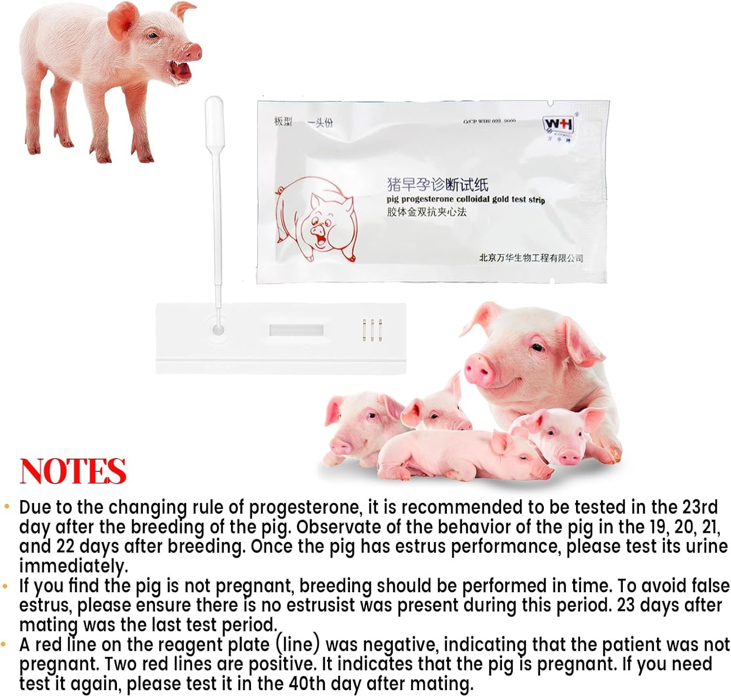 10Pcs Pig Pregnancy Tester Strips - Early Pregnancy Diagnosis Tool for Sows - Accurate and Easy-to-Use Pig Pregnancy Test Kit - Ideal for Early Detection - Image 4