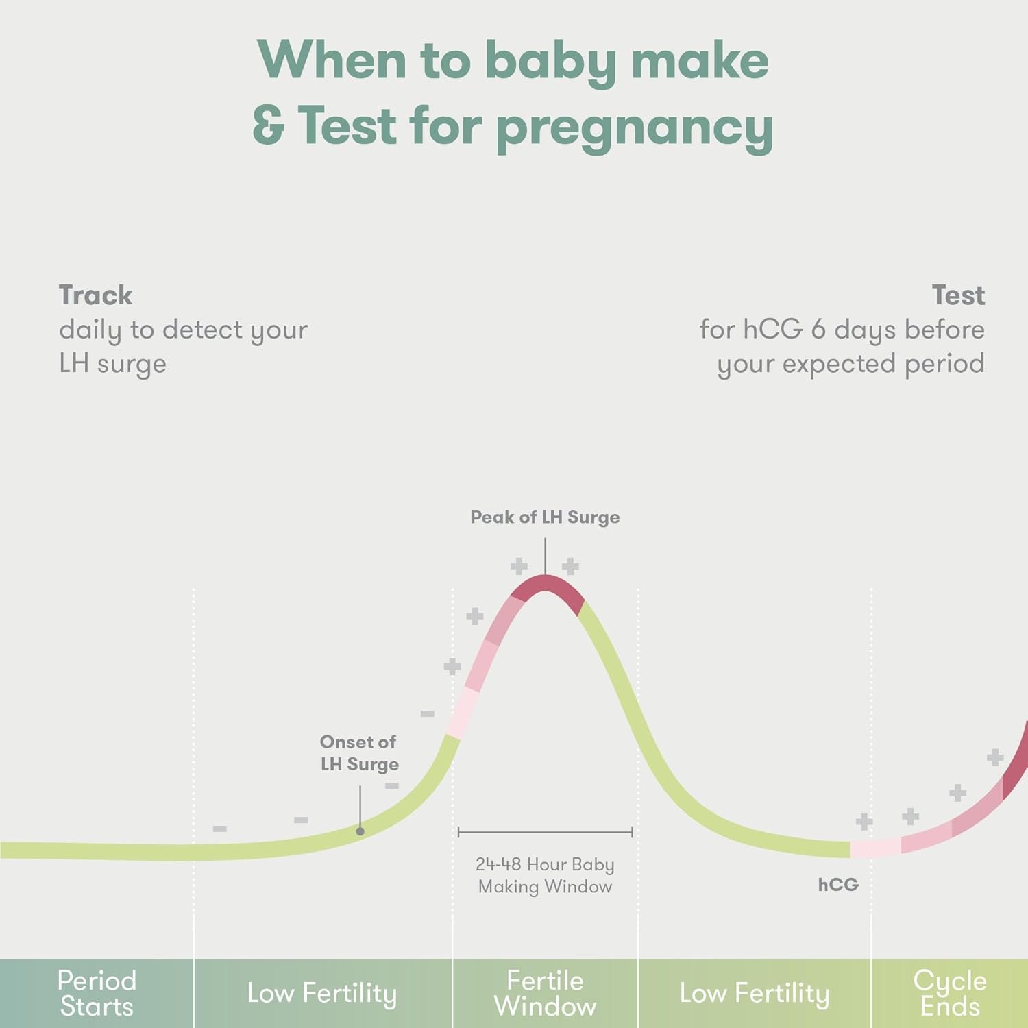 Frida Fertility All-in-One Ovulation & Pregnancy Test Kit – 30 Easy at ...