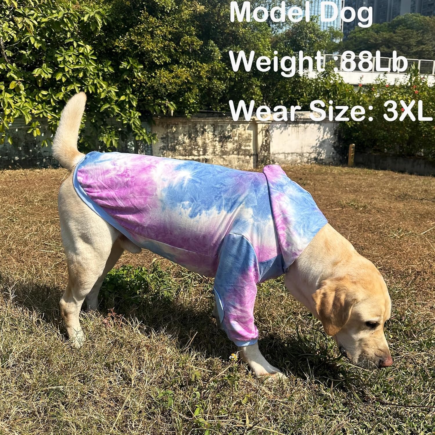 Dog Cotton Tie dye Hoodie Blue Pullover Sweatshirts Soft and Stretch Pets Clothes Hooded for Large Dogs(Blue 2XL) - Image 4