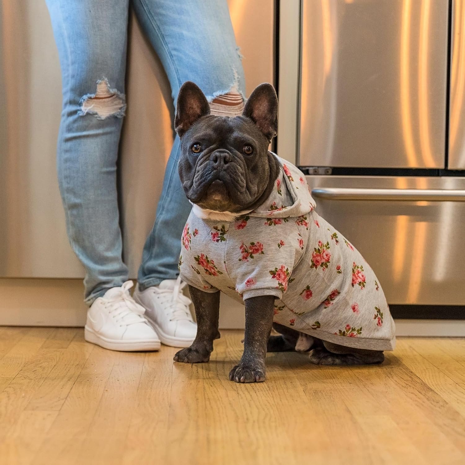 Blueberry Pet Floral Dog Hoodie, Rose Print Pullover Sweatshirt for Small Dogs, 10" Back Length, Lightweight Spring Outfit in Stylish Grey - Image 3