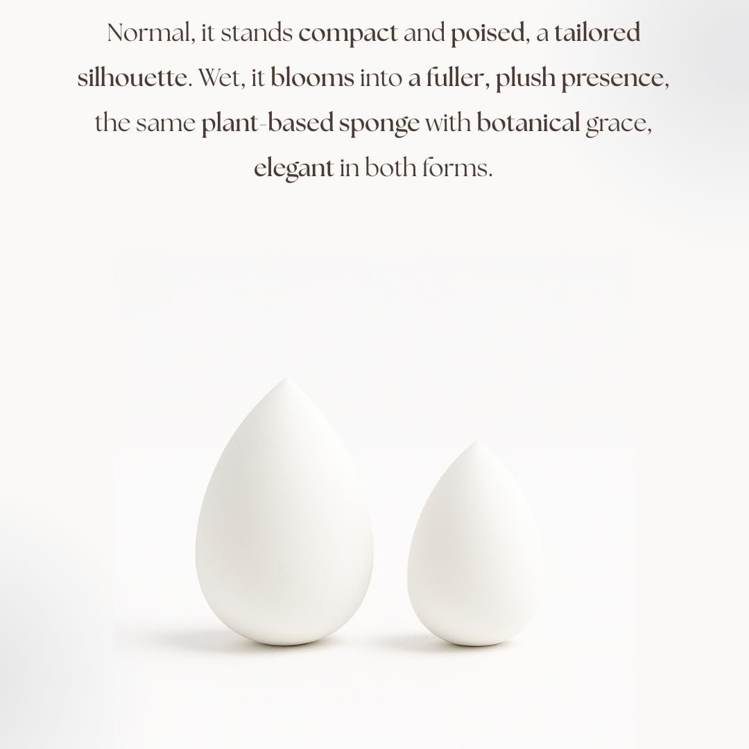 Pearl Beauty Sponge - Plant-Based, Eco-Friendly, Cruelty-Free, Dye-Free & Latex-Free Blender, Biodegradable & Natural Makeup Sponge, Makeup Blender, Perfect for Liquid & Powder (3 Count) - Image 3