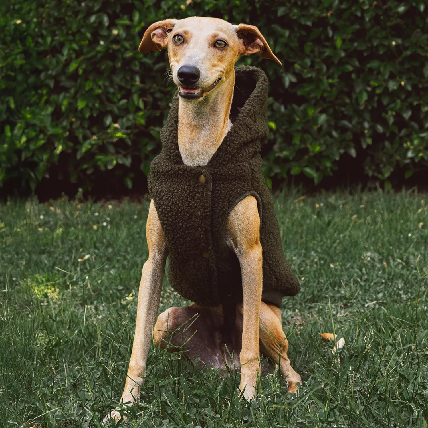 Tuff Pupper Fleece Dog Hoodie Sweater | Teddy Sherpa Outer & Soft Polar Fleece Lining | Adjustable Fit Winter Coat with Hood, Leash Hole, Ribbed Cuffs | For Small Medium Large XL XXL Dogs (Olive, XXS) - Image 8