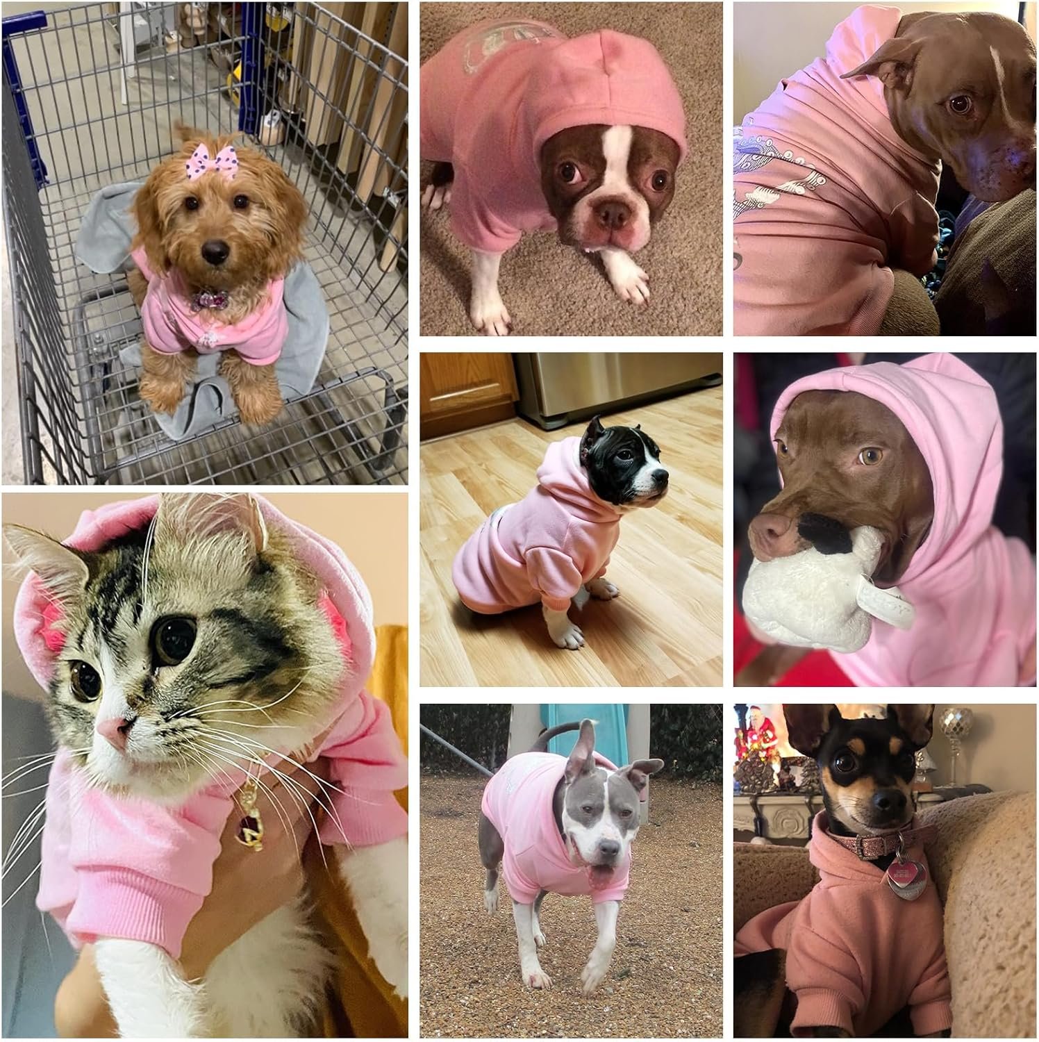 EXPAWLORER Princess Dog Hoodie-Soft Dog Sweater Calming Fleece Sweatshirt Cold Weather Pet Clothes,Pitbull Clothes Outfits,Coat Apparel for Puppy,Cat, Small Medium Large Dogs - Image 7
