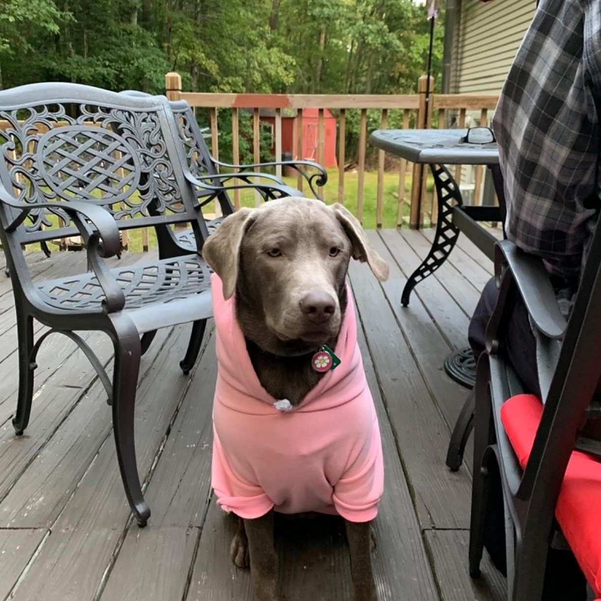 EXPAWLORER Princess Dog Hoodie-Soft Dog Sweater Calming Fleece Sweatshirt Cold Weather Pet Clothes,Pitbull Clothes Outfits,Coat Apparel for Puppy,Cat, Small Medium Large Dogs - Image 9