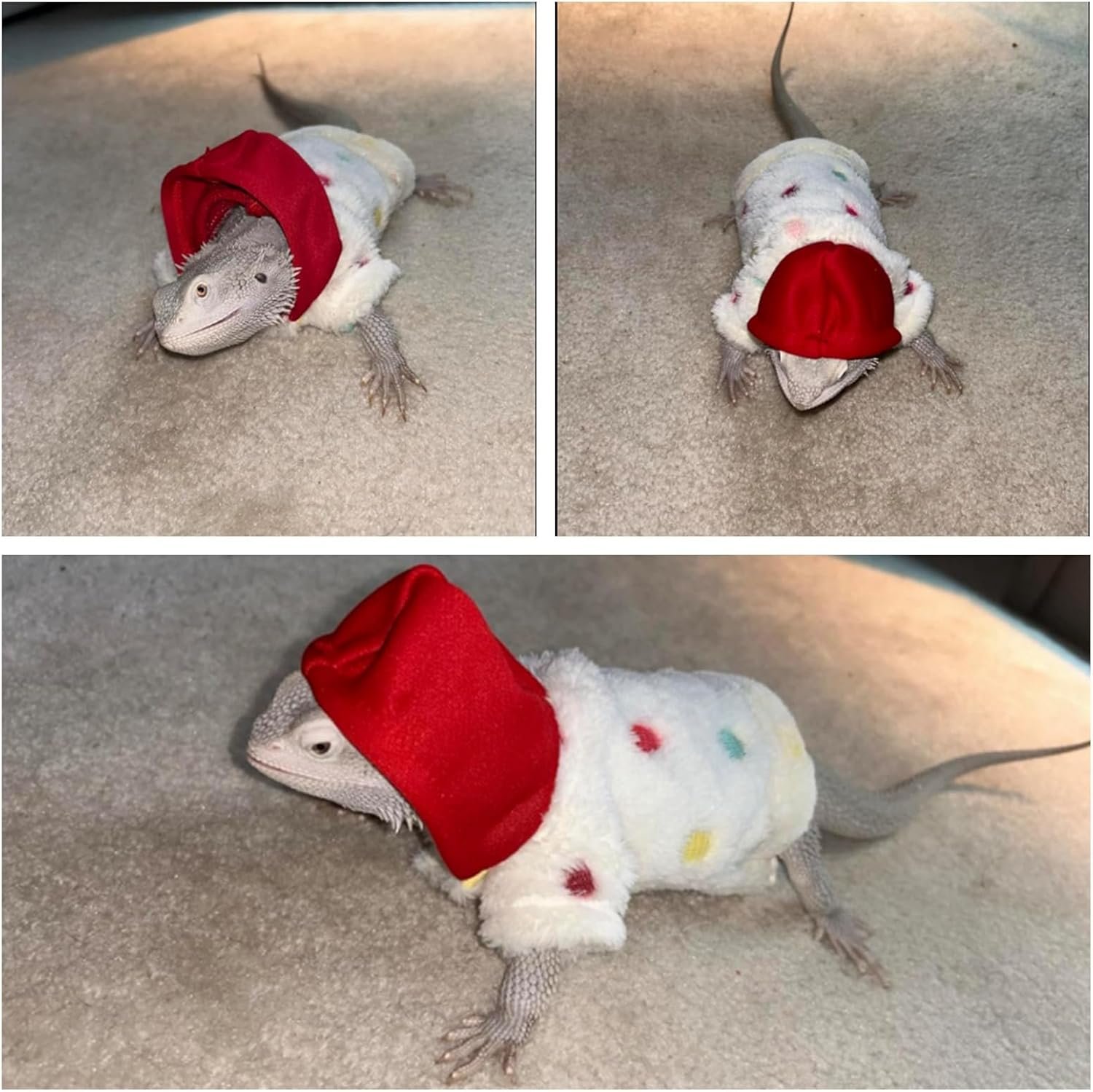 Lizard Clothes for Bearded Dragons Handmade Cloth Material Hoodies Sweater Coat Reptile Apparel Costume Skin Protection Photo Party for Lizard Bearded Dragon Crested Gecko Chameleon (Black) - Image 4