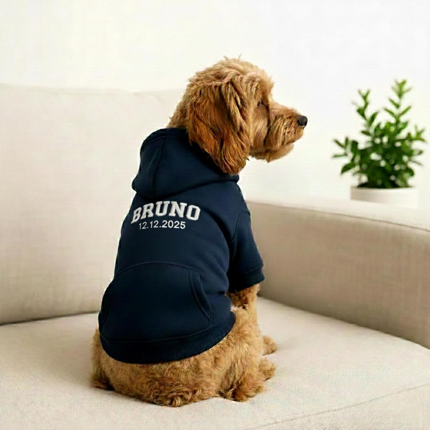 Personalized Dog Hoodie, Custom Embroidered Name Pet Hoodie, Warm Winter Outfit for Dogs, Pet Clothes, Gift for Dog Lovers 3 - Image 4