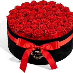 40 Real Preserved Roses in Suede Box Forever Roses Last Up to 3 Years, Flowers for Delivery Prime, Mother’s Day, Birthday, Christmas - Red