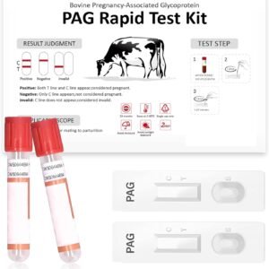 Bovine Pregnancy Test Kit - Includes 2 Tests, Rapid Results in 5-20 Minutes for Dairy & Beef Cows, Whole Blood, Serum & Plasma-Based Tests