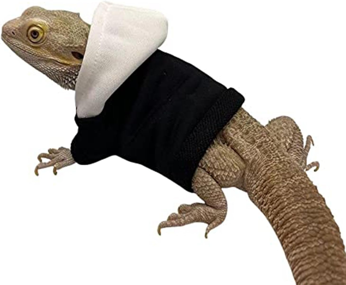 Lizard Clothes for Bearded Dragons Handmade Cloth Material Hoodies Sweater Coat Reptile Apparel Costume Skin Protection Photo Party for Lizard Bearded Dragon Crested Gecko Chameleon (Black)