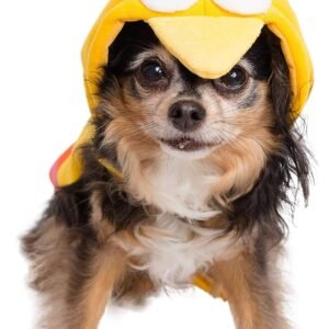 Pet Krewe Small Sesame Street Big Bird Hoodie Dog Costume Fits Dogs Size Small, Medium, Large or Extra Large - Perfect for Halloween, Christmas Holiday, Parties, Photoshoots, Gifts for Dog Lovers