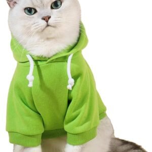 QWINEE Basic Dog Hoodie Sweatshirt Puppy Sweater Warm Cat Costumes Pet Clothes for Chihuahua Puppy Kitten Small Medium Dogs Green Medium