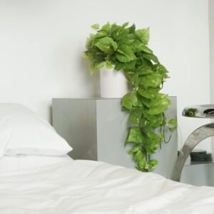 Retrograde 32" Realistic Fake Pothos Ivy Plant for Home Decor Indoor Silk Artificial Plant Large (Light Green)