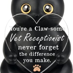 WINOESHE Veterinary Receptionist Appreciation Black Cat Figurine, Vet Clinic Front Desk Thank You Gift, Animal Hospital Staff Recognition Present, Pet Care Office Encouragement Desk Decor, HDS24